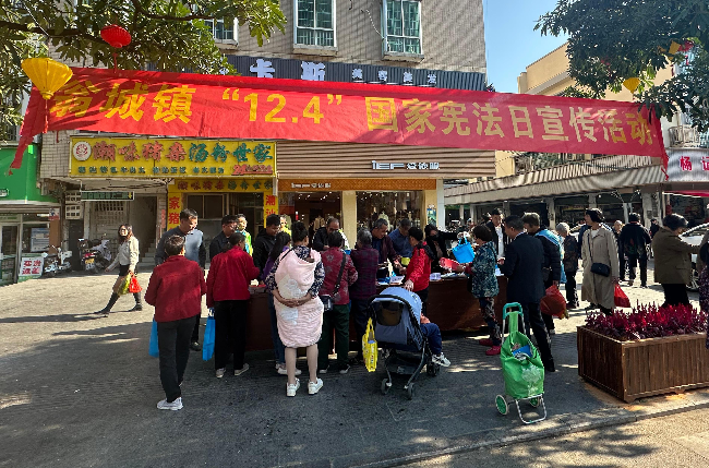 12.4 翁城镇人大开展国家宪法日宣传活动.png