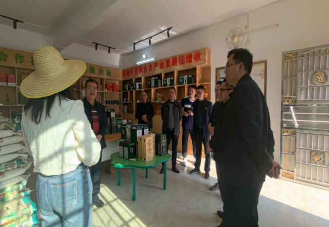 大宝山矿业公司总经理李中平一行到新江镇调研乡村振兴工作.png