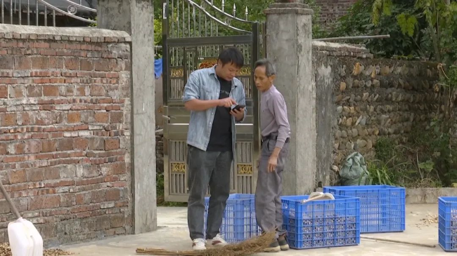 文章配图