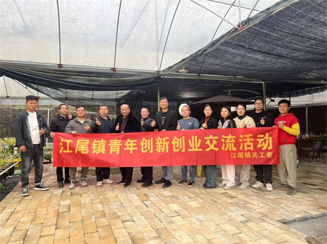 图片 1.jpg