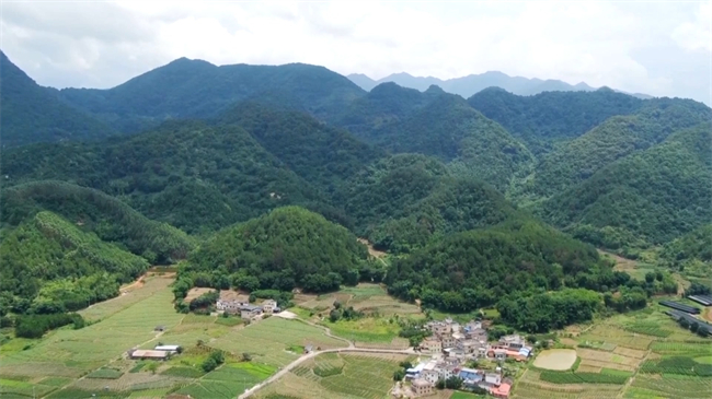 生态植绿.mp4_20250104_141222.789.jpg