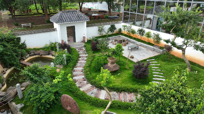 龙仙镇蓝青村陈建禄美丽庭院2.jpg