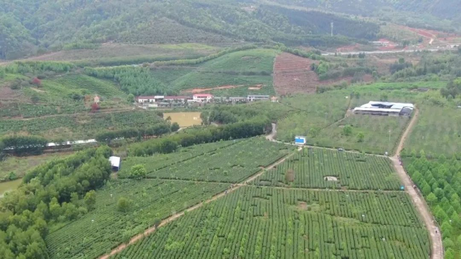 文章配图