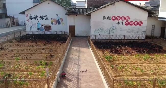 文章配图