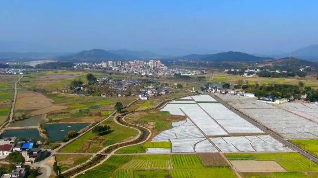 文章配图