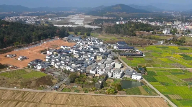 文章配图