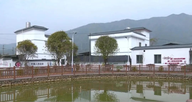 文章配图