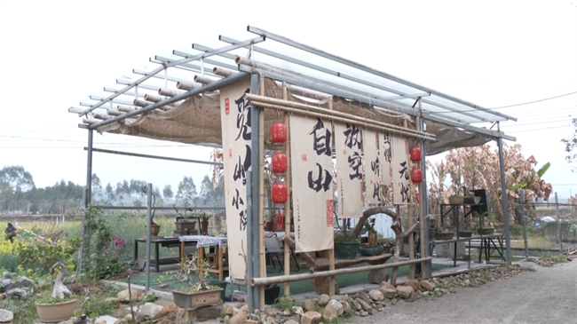 沈国富：美丽庭院.mp4_20250301_133320.552.jpg