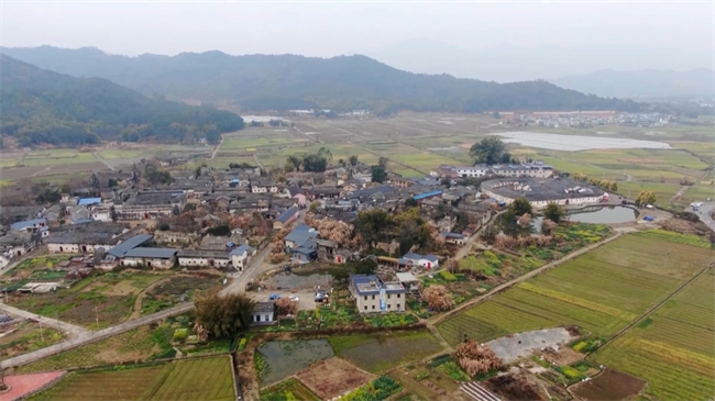 沈国富：美丽庭院.mp4_20250301_133358.050.jpg
