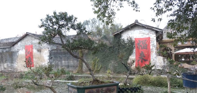 沈国富：美丽庭院.mp4_20250301_143543.060.jpg