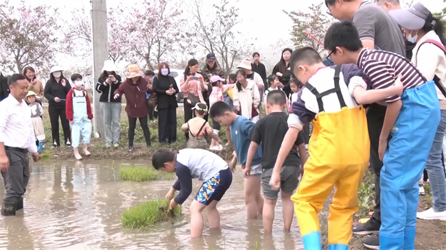 翁源华润希望乡村项目推进顺利 完成总工程量80%.mp4_20250415_181030.628.jpg