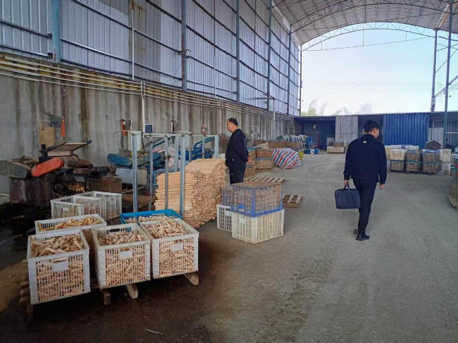 龙仙镇开展木材加工厂安全生产检查.png