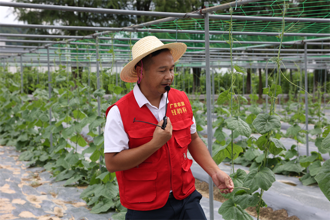 沈仲灯为农民传授农作物种植良法.jpg