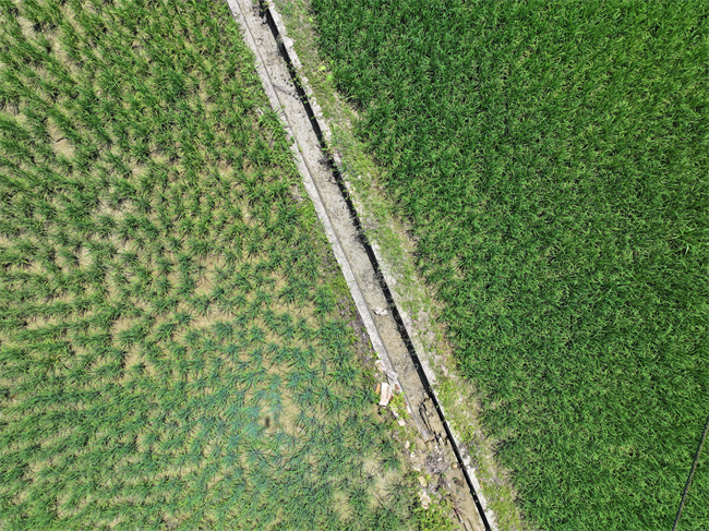 DJI_20250514110418_0265_D.JPG