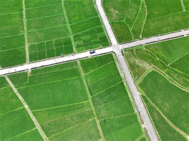 DJI_20250514110619_0269_D.JPG