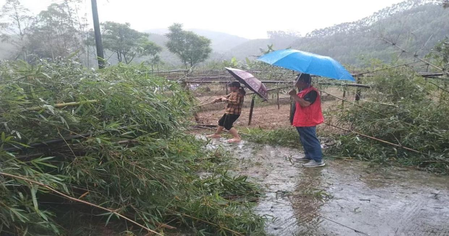 新江镇双星村：织密防汛“四张网”，筑牢暴雨防御“安全墙”2.png