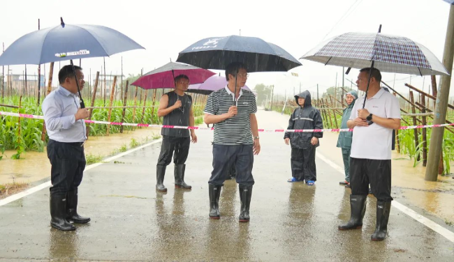 记者直击：干群同心应对强降雨安全转移群众4000多人