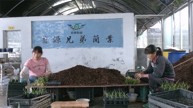 农业龙头企业.mp4_20250705_122645.584.jpg