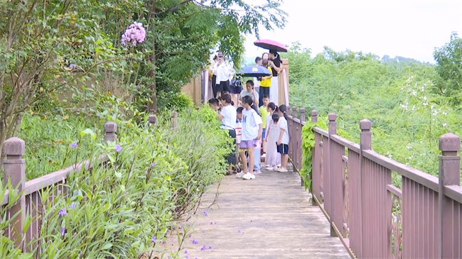 湿地宣传周活动.mp4_20250723_183754.939.jpg