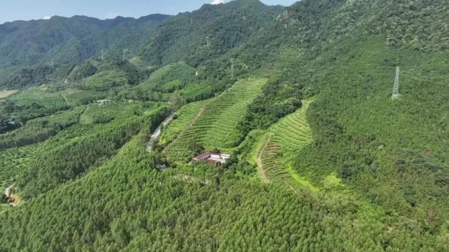 文章配图