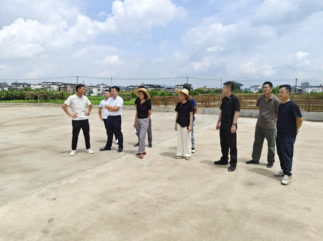 周陂镇典型村建设再提速——专班调研为项目落地排忧解难.png