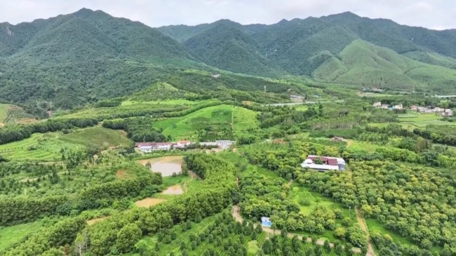 文章配图