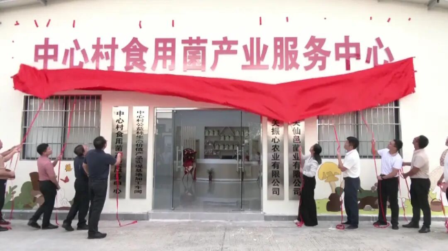 文章配图