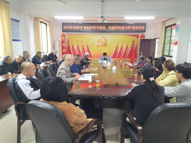 铁龙镇龙体村“爱村护村守底线,村规民约成习惯”宣讲活动.png