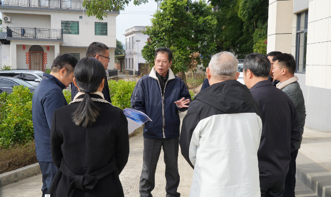 高忠到龙仙镇宣讲党的二十届四中全会精神<br/>并调研典型村培育及人居环境整治等工作