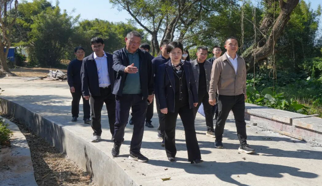 钟真带队到翁城镇调研督导“百千万工程”典型镇村培育工作
