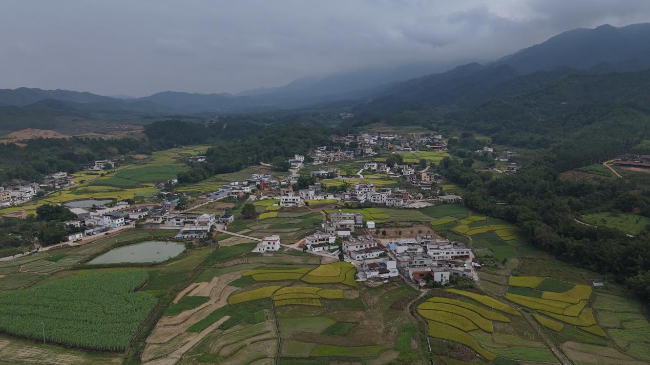 翁源县周陂镇龙田村:人居环境大提升 绘就美丽乡村新画卷1.png