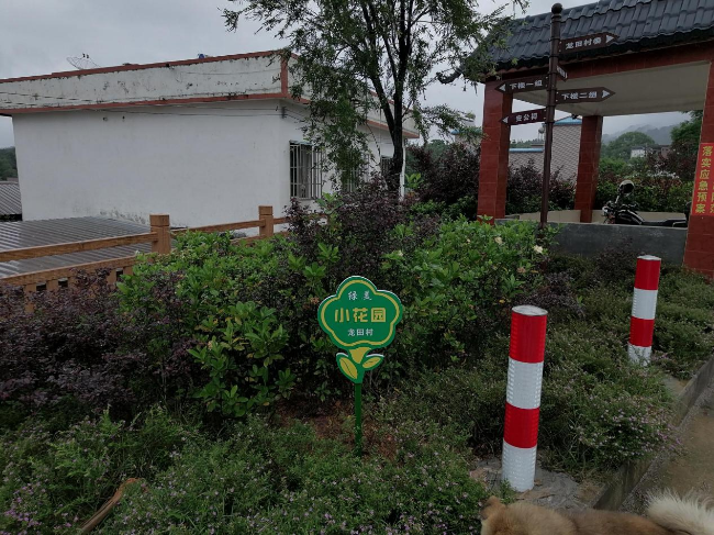 翁源县周陂镇龙田村:人居环境大提升 绘就美丽乡村新画卷4.png