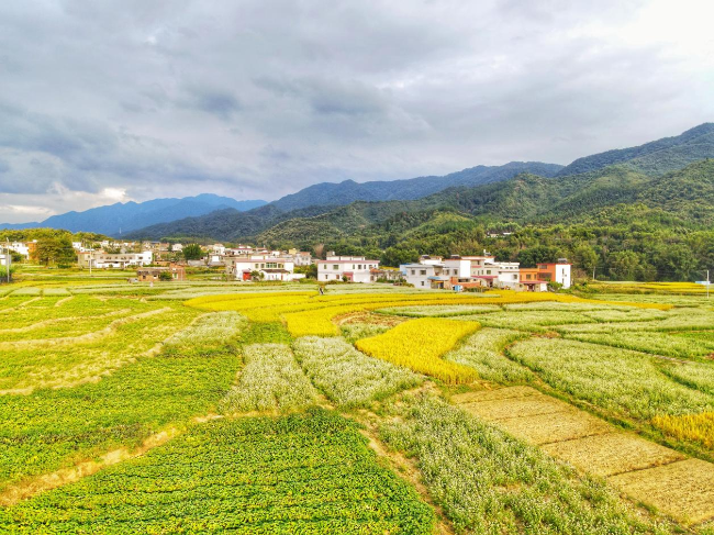 翁源县周陂镇龙田村:人居环境大提升 绘就美丽乡村新画卷5.png