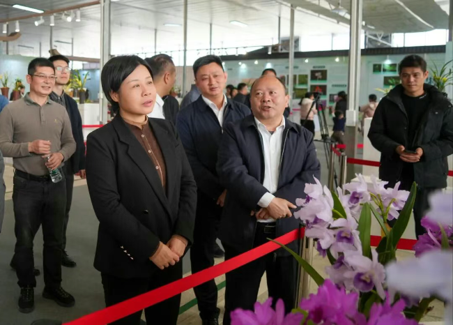 钟真到翁源县兰花展示交易中心调研相关工作