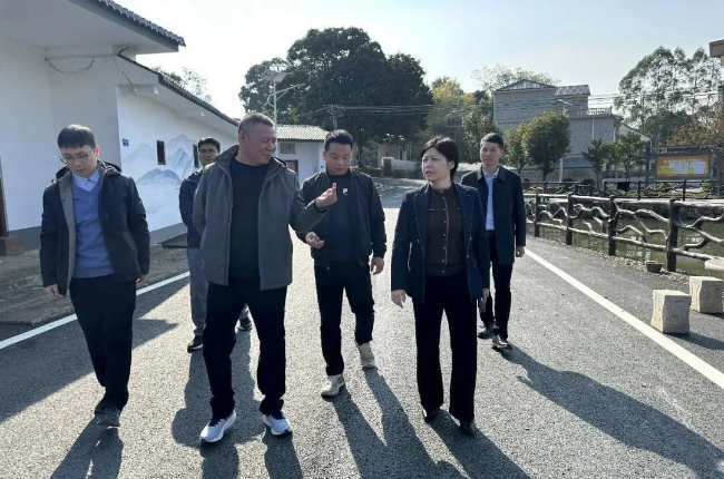 钟真带队到翁城镇、新江镇调研督导重点工作