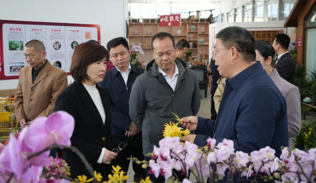 西安市长安区供销联社领导到翁源考察兰花产业