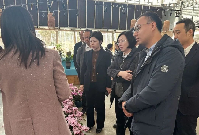 市商务局、韶关海关领导带队到翁源调研兰花产业