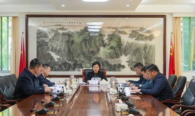 县政府党组领导班子召开2025年度民主生活会