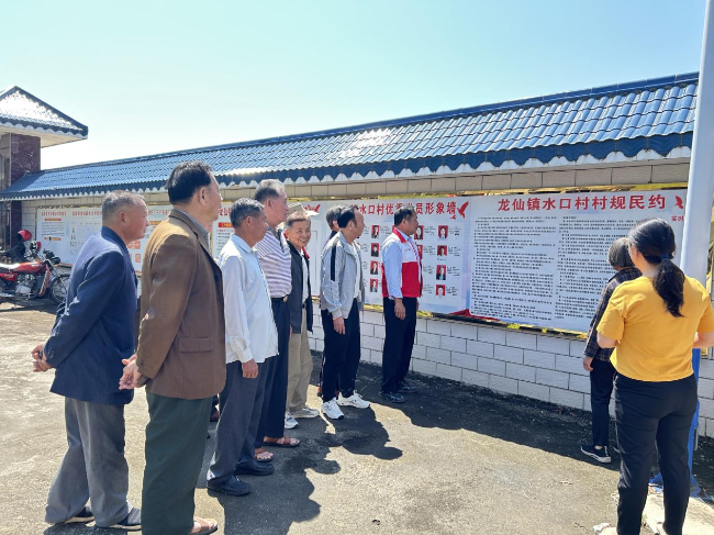 龙仙镇多形式开展村规民约宣传活动 弘扬移风易俗新风尚1.png