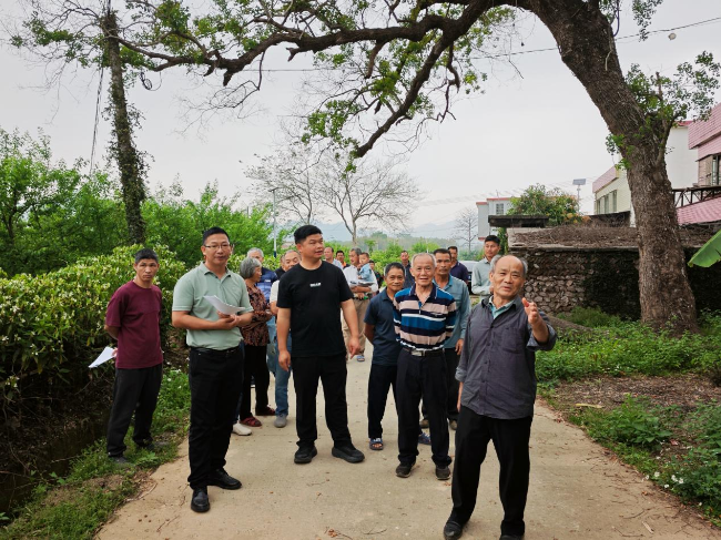 龙仙镇：干群同心谋发展 共绘乡村新蓝图 - 副本.png