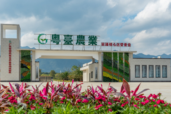 图片8.png