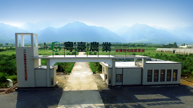 粤台.jpg