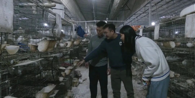 返乡创业青年朱珉增2.png