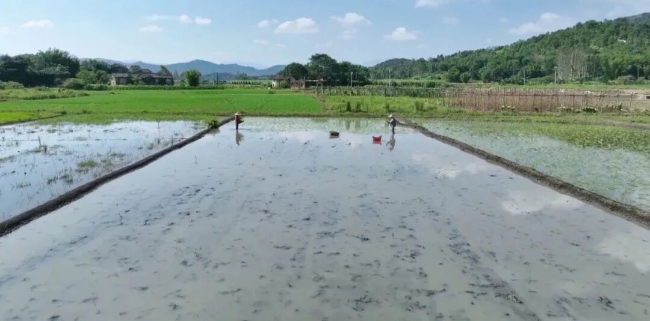 沈利样2.png