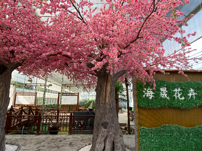 海晟花卉1.jpg