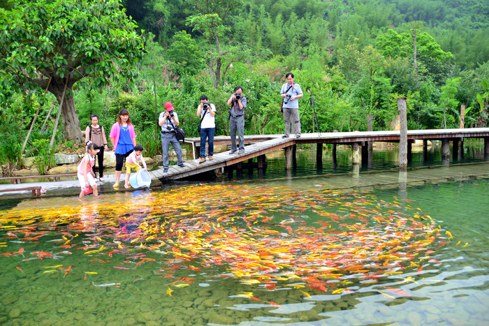 “冷泉滩”农业生态旅游园