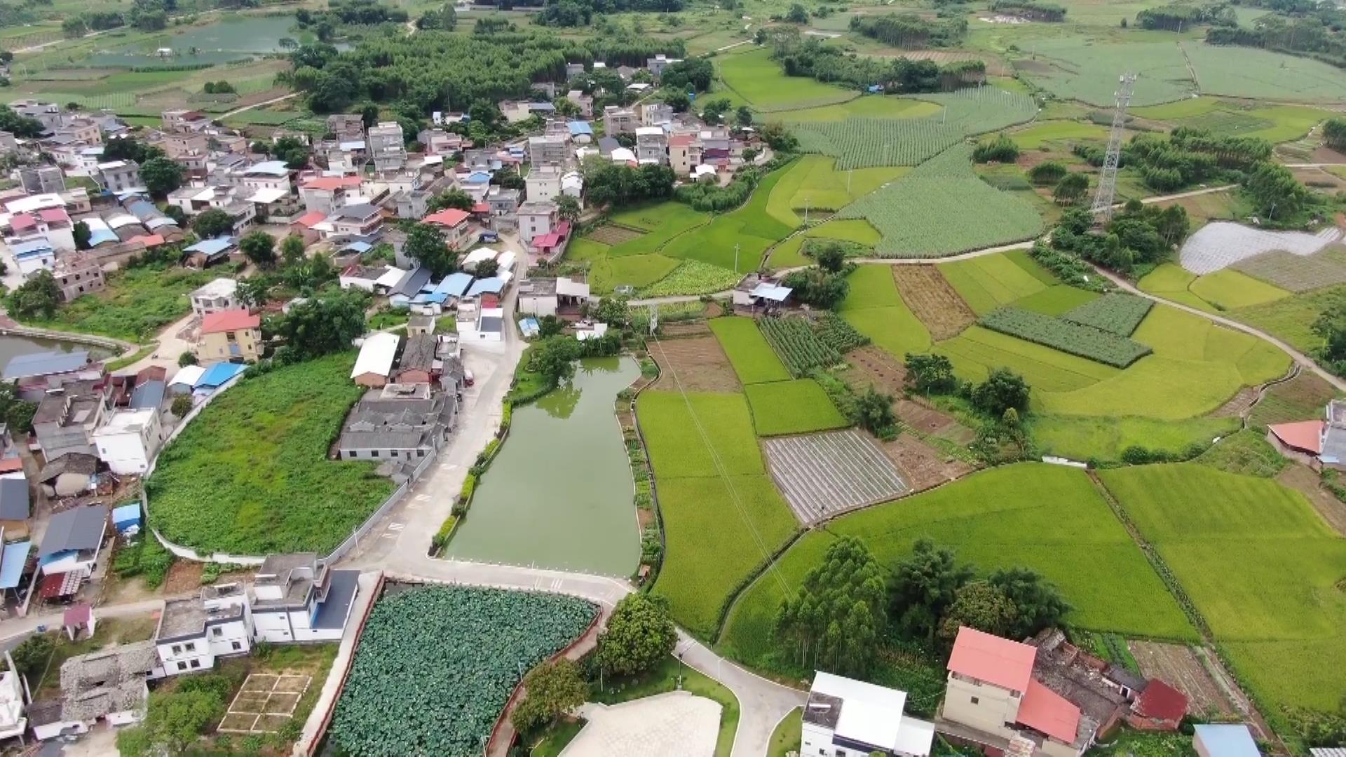 翁城镇139美丽圩镇建设成效显著镇域面貌华丽蜕变