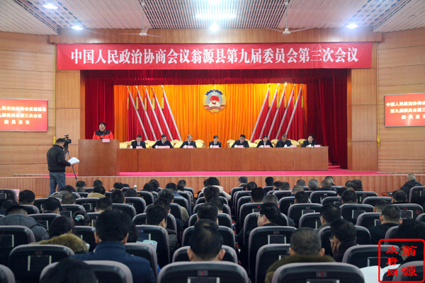 委员发言1.jpg